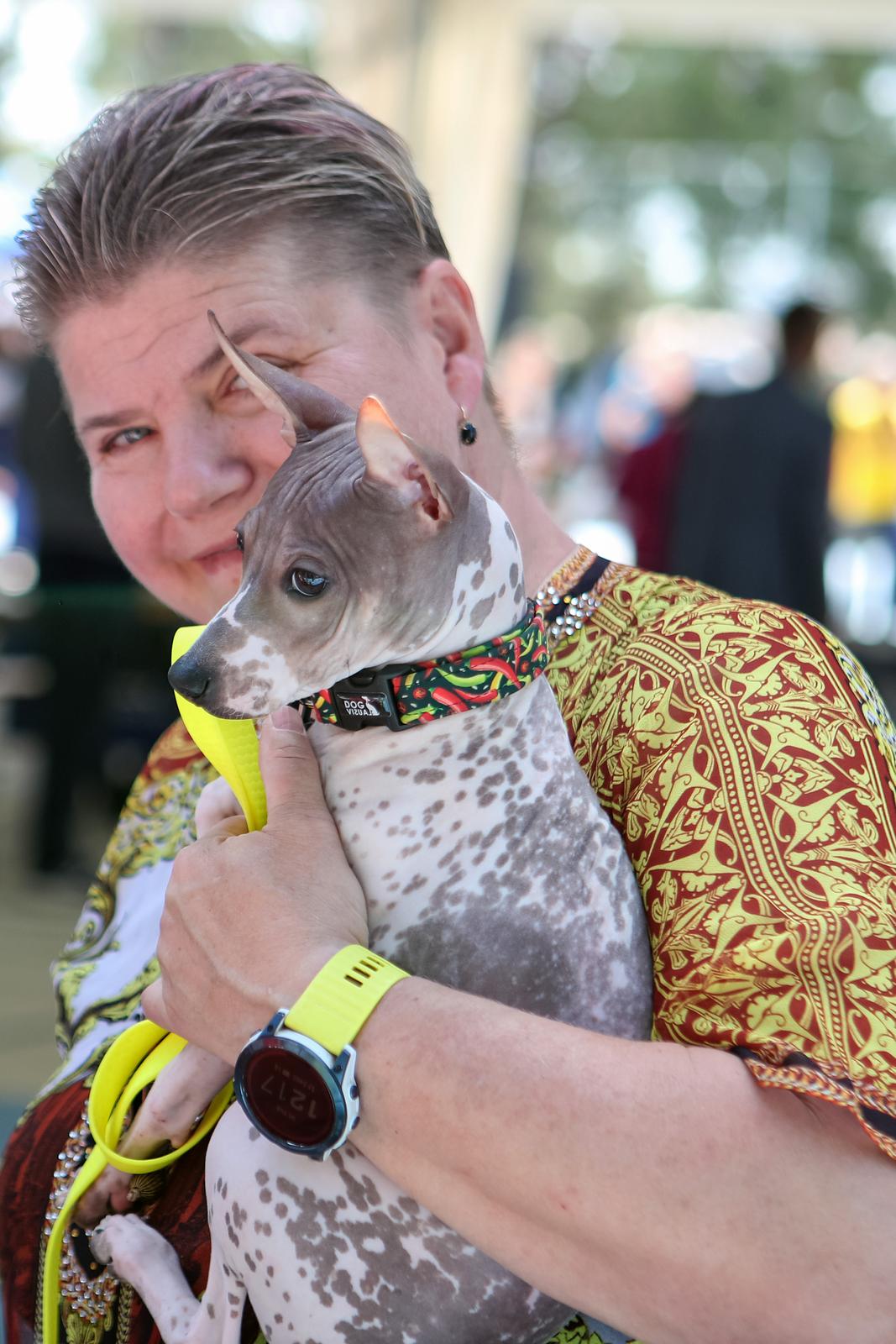 Međunarodna izložba pasa CACIB 2023