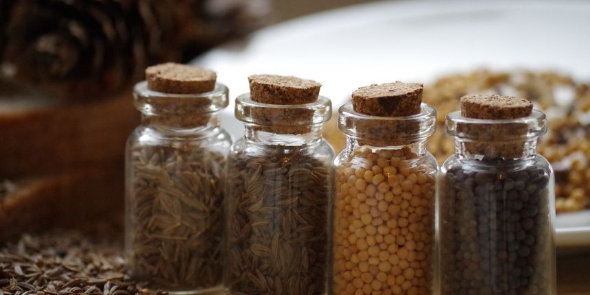 Biljka kumin kao začin i lijek Biljka kumin kao začin i lijek