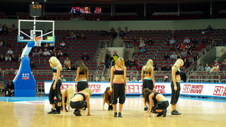 Plesna skupina ASK Riga