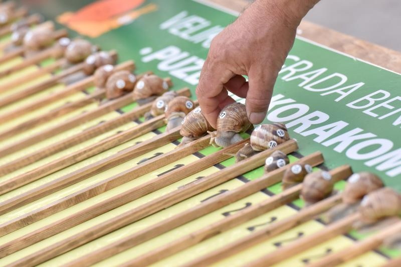 “Puževim korakom” Benkovac: 6. Prvenstvo Hrvatske u utrci puževa “Puževim korakom” Benkovac: 6. Prvenstvo Hrvatske u utrci puževa