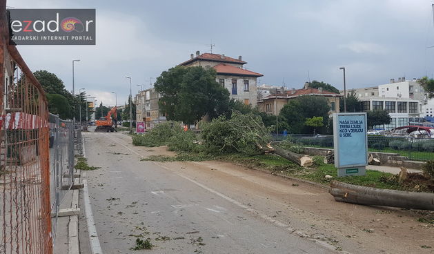 Ekocid u Zadru. Posječene fafarikule u Vruljici