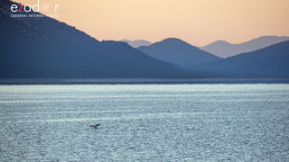 Nedjeljno svitanje na Vranskom jezeru Nedjeljno svitanje na Vranskom jezeru