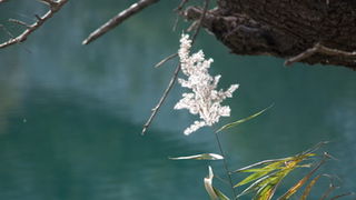 Đir do kraških ljepotica Krupe i Zrmanje, Foto: Vinko Pešić Đir do kraških ljepotica Krupe i Zrmanje, Foto: Vinko Pešić