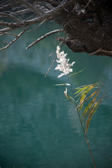 Đir do kraških ljepotica Krupe i Zrmanje, Foto: Vinko Pešić Đir do kraških ljepotica Krupe i Zrmanje, Foto: Vinko Pešić