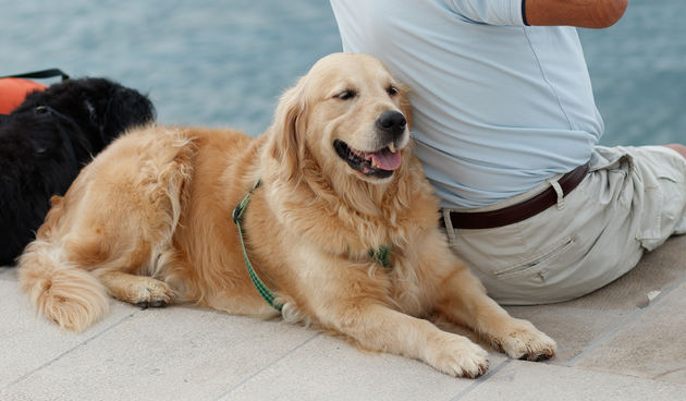 Đir po gradu, subotnja špica, 28. kolovoza 2021.