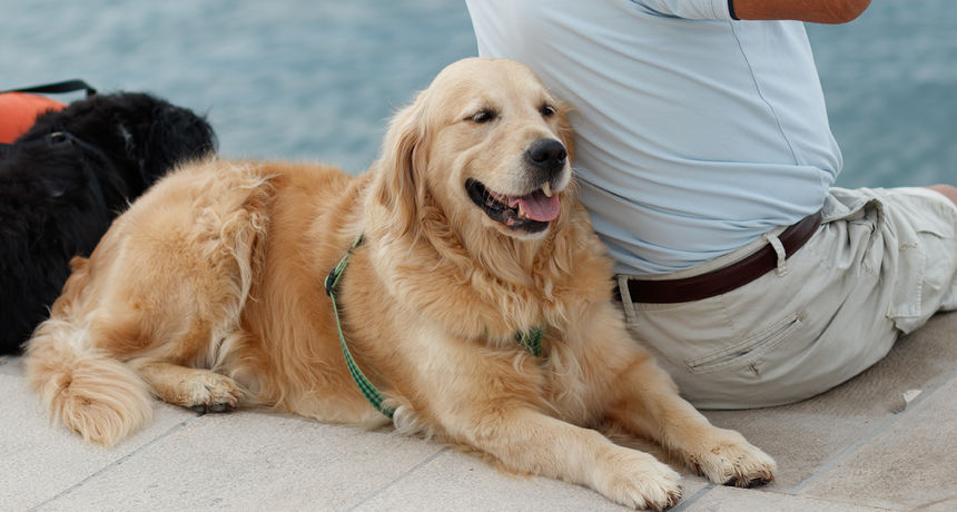 Đir po gradu, subotnja špica, 28. kolovoza 2021.