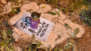 Prosvjed građana zbog odluke Grada da posječe drvored fafarikula u Vruljici Prosvjed građana zbog odluke Grada da posječe drvored fafarikula u Vruljici