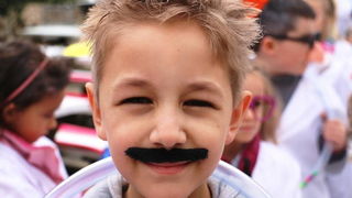 Virski karnevalić 2016. Virski karnevalić 2016.