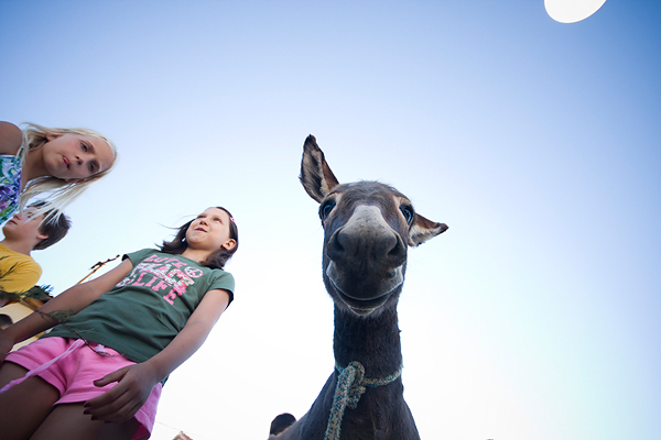 51. Saljske užance, 8. kolovoza 2010. (foto:Saša Čuka)