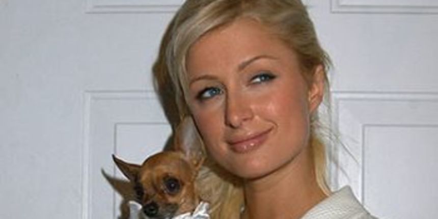 Paris Hilton Paris Hilton