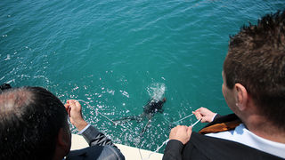 Svečanost polaganja J. Y. Costeau memorijalne ploče na Morskim orguljama