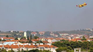 Požar na Plovaniji 11. kolovoza 2013. Foto: Željko Mršić/PIXSELL Požar na Plovaniji 11. kolovoza 2013. Foto: Željko Mršić/PIXSELL