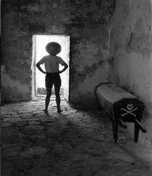 Braća Brkan: Slike sna i svjetlosti Braća Brkan: Slike sna i svjetlosti