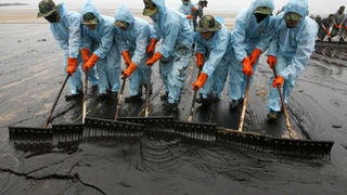 Image 1196805 (auto) Image 1196805 (auto)