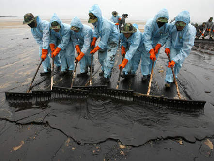 Image 1196805 (auto) Image 1196805 (auto)