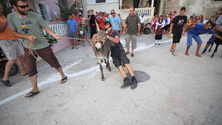 52. Saljske užance, 7. kolovoza 2011.(foto:Saša Čuka)