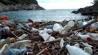 Mljet: Nasukana morska sirena Mljet: Nasukana morska sirena