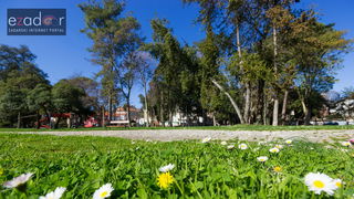 Đir po gradu 3. ožujka 2017.