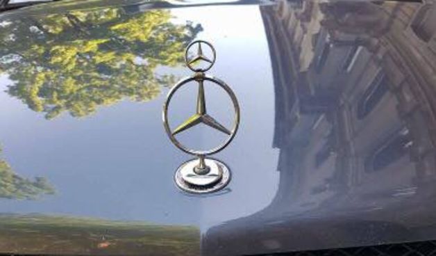 Mečka je mečka, Tagiraj Imoćane i gasi internet