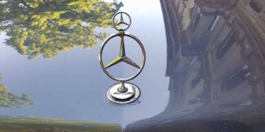 Mečka je mečka, Tagiraj Imoćane i gasi internet Mečka je mečka, Tagiraj Imoćane i gasi internet