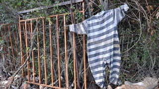 Zadar, 021111
Uz cestu koja vodi od Zadra prema Razancu moze se vidjeti jedan od sigurno najneobicnijih vinograda na svijetu. Umjesto uobicajenih strasila, vinograd cuvaju ogromni plisani medvjedi , lutke, barbike i raznorazne druge igracke i predmeti.
Fo Zadar, 021111
Uz cestu koja vodi od Zadra prema Razancu moze se vidjeti jedan od sigurno najneobicnijih vinograda na svijetu. Umjesto uobicajenih strasila, vinograd cuvaju ogromni plisani medvjedi , lutke, barbike i raznorazne druge igracke i predmeti.
Fo