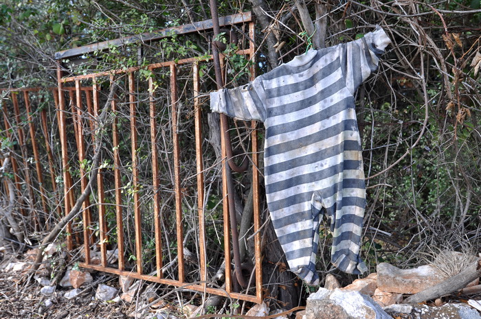 Zadar, 021111
Uz cestu koja vodi od Zadra prema Razancu moze se vidjeti jedan od sigurno najneobicnijih vinograda na svijetu. Umjesto uobicajenih strasila, vinograd cuvaju ogromni plisani medvjedi , lutke, barbike i raznorazne druge igracke i predmeti.
Fo Zadar, 021111
Uz cestu koja vodi od Zadra prema Razancu moze se vidjeti jedan od sigurno najneobicnijih vinograda na svijetu. Umjesto uobicajenih strasila, vinograd cuvaju ogromni plisani medvjedi , lutke, barbike i raznorazne druge igracke i predmeti.
Fo