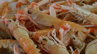 Image 1207685 (auto)