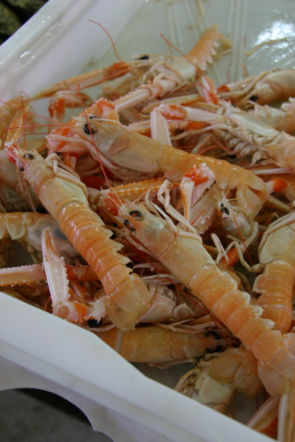 Image 1207685 (auto)