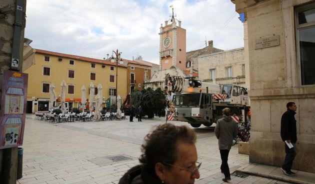 25.11.2013., Zadar – Na Narodnom trgu postavljena je jelka koja ce do prvog mjeseca 2014. krasiti najfrekventnije mjesto u centru grada. Photo: Filip Brala/PIXSELL Autor  Filip Brala/PIXSELL KLJUČNE RIJEČI  Narodni trg, bor, Jelka, Bozicni ugodjaj, bozi