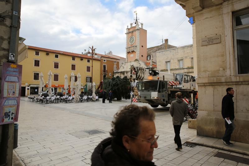 25.11.2013., Zadar – Na Narodnom trgu postavljena je jelka koja ce do prvog mjeseca 2014. krasiti najfrekventnije mjesto u centru grada. Photo: Filip Brala/PIXSELL Autor Filip Brala/PIXSELL KLJUČNE RIJEČI Narodni trg, bor, Jelka, Bozicni ugodjaj, bozi 25.11.2013., Zadar – Na Narodnom trgu postavljena je jelka koja ce do prvog mjeseca 2014. krasiti najfrekventnije mjesto u centru grada. Photo: Filip Brala/PIXSELL Autor Filip Brala/PIXSELL KLJUČNE RIJEČI Narodni trg, bor, Jelka, Bozicni ugodjaj, bozi