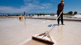 Solana Nin, berba soli, foto: Leo Banić