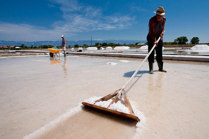 Solana Nin, berba soli, foto: Leo Banić