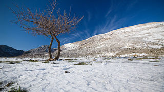 Đir do Libinja 9. travnja 2012. (foto:Saša Čuka) Đir do Libinja 9. travnja 2012. (foto:Saša Čuka)