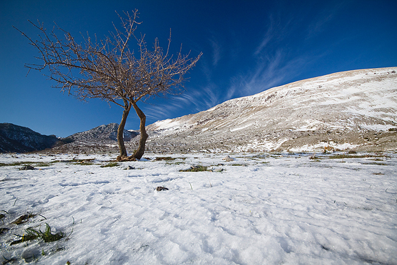 Đir do Libinja 9. travnja 2012. (foto:Saša Čuka) Đir do Libinja 9. travnja 2012. (foto:Saša Čuka)