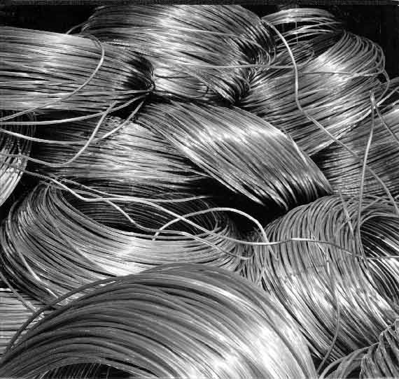 Braća Brkan: Slike sna i svjetlosti Braća Brkan: Slike sna i svjetlosti