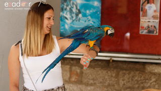 Đir po gradu, srijeda 3. srpnja 2019. Đir po gradu, srijeda 3. srpnja 2019.