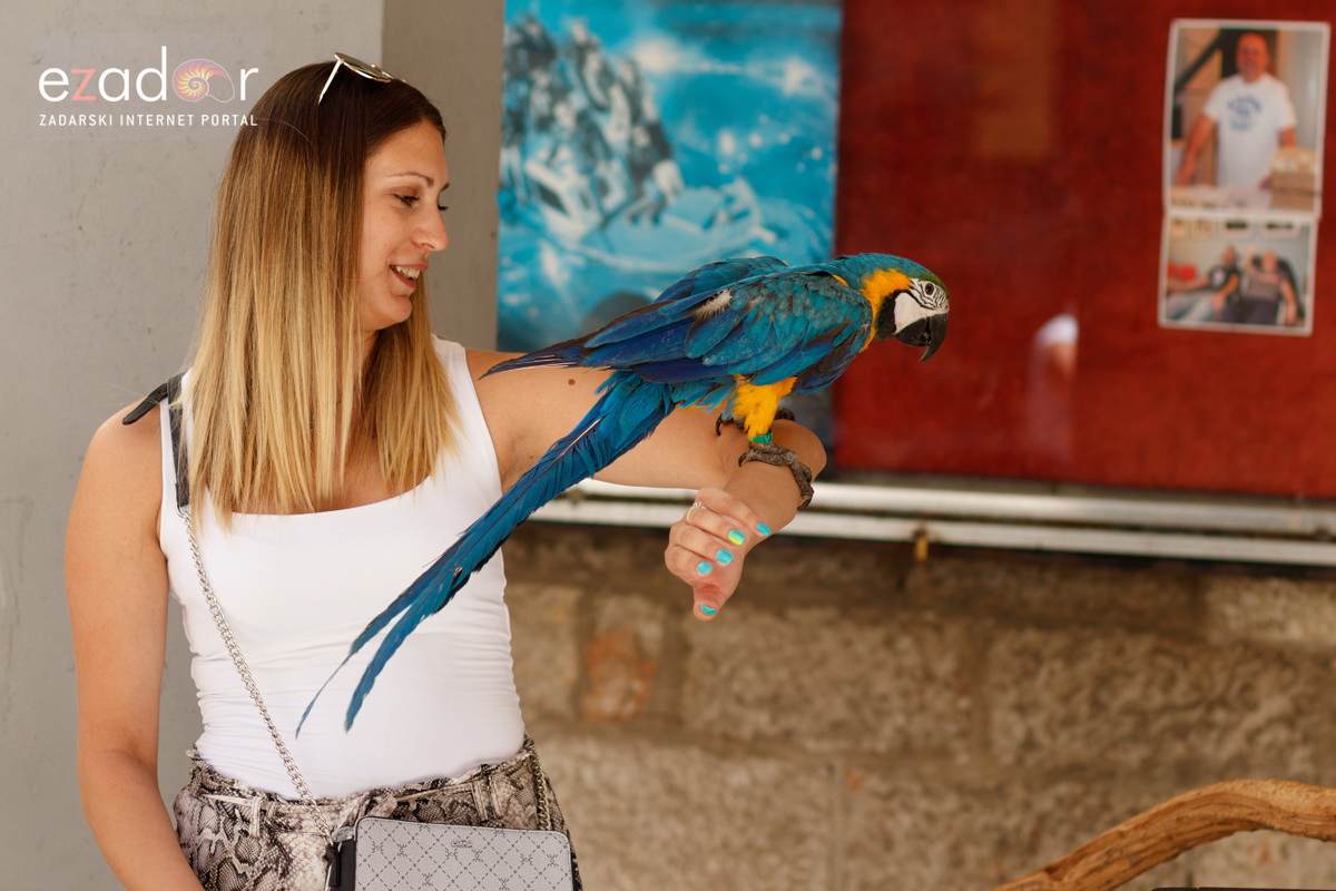 Đir po gradu, srijeda 3. srpnja 2019. Đir po gradu, srijeda 3. srpnja 2019.