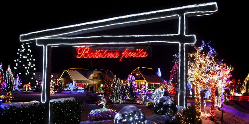 Cazma, 171210.
Grabovnica pokraj Cazme.
Imanje obitelji Salaj.
Predsjednica Vlade Jadranka Kosor svecano je upalili lampice na imanju obitelji Salaj u okviru Bozicne price u Cazmi.
Na imanju je ove godine upaljeno 1100000 lampica.
Prigodom otvorenja bio j