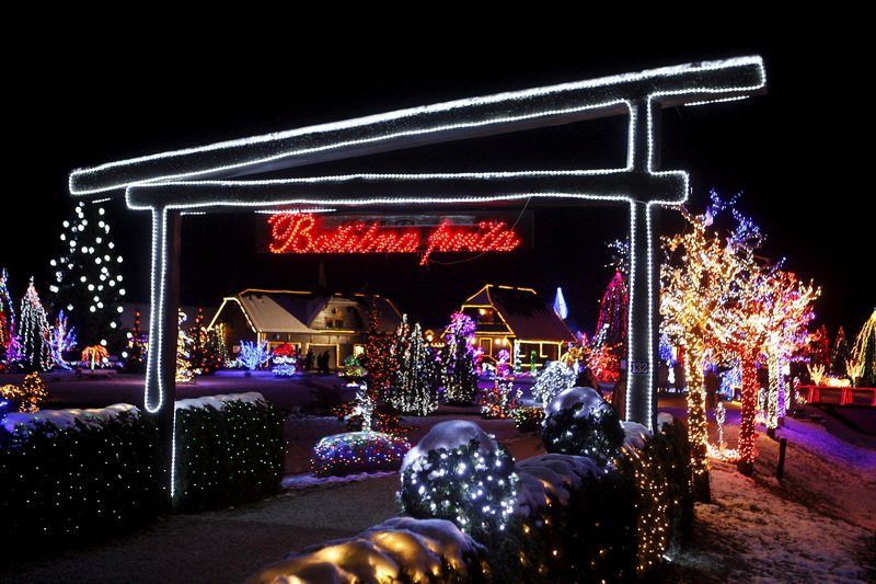 Cazma, 171210.
Grabovnica pokraj Cazme.
Imanje obitelji Salaj.
Predsjednica Vlade Jadranka Kosor svecano je upalili lampice na imanju obitelji Salaj u okviru Bozicne price u Cazmi.
Na imanju je ove godine upaljeno 1100000 lampica.
Prigodom otvorenja bio j