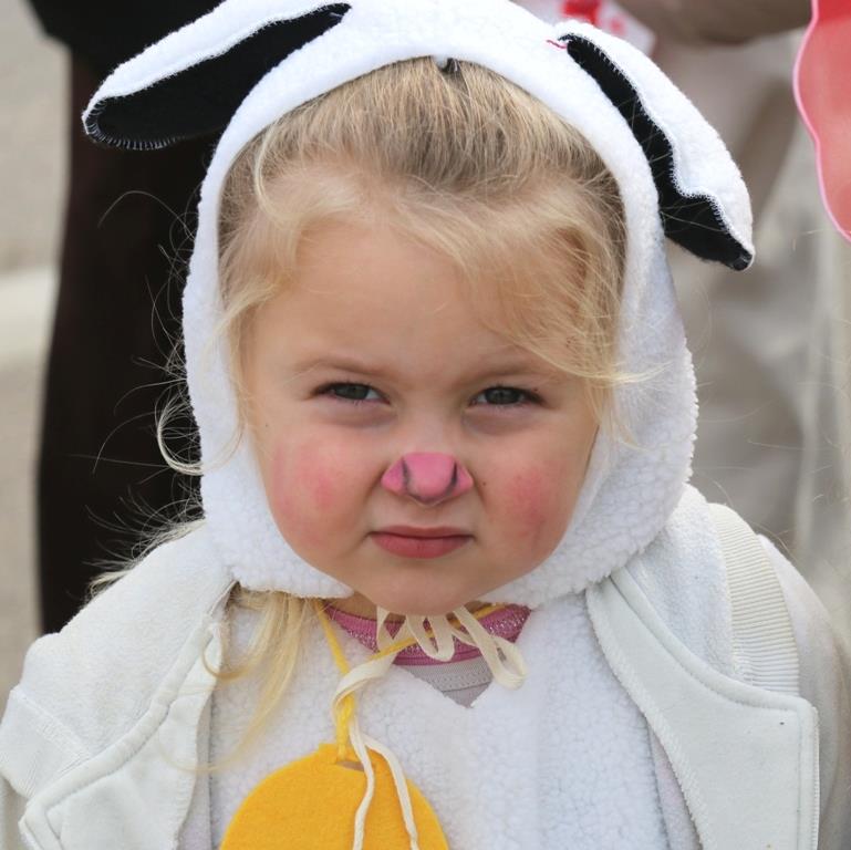 Virski Karnevalić 2017.