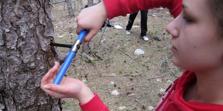 Zadrani i Norvežani istražuju crni bor u sklopu projekta “The Tree Ring project” Zadrani i Norvežani istražuju crni bor u sklopu projekta “The Tree Ring project”