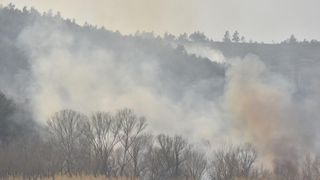 Veliki požar kod Ražanca uz vatrogasce gasili kanader i air tractor