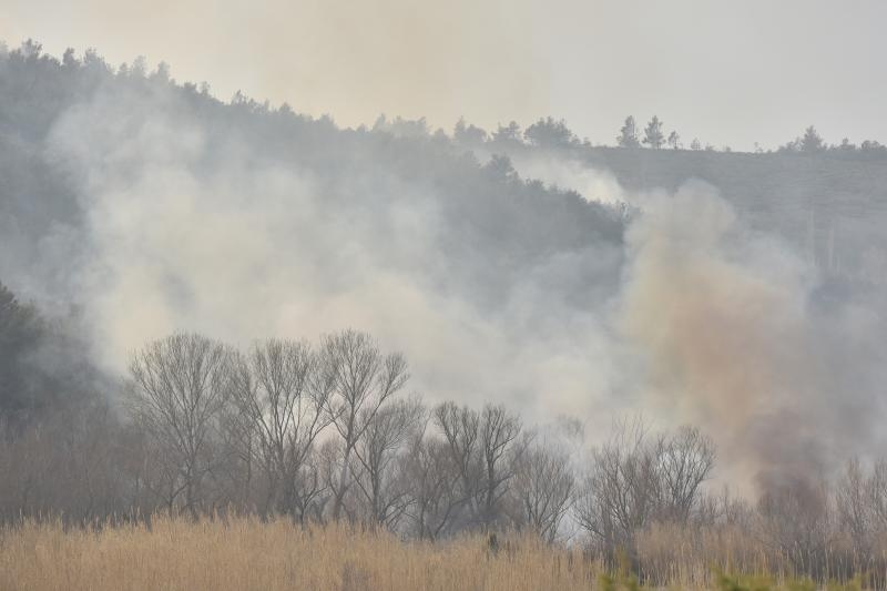 Veliki požar kod Ražanca uz vatrogasce gasili kanader i air tractor