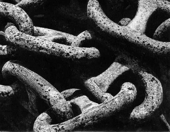 Braća Brkan: Slike sna i svjetlosti Braća Brkan: Slike sna i svjetlosti