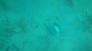 OLYMPUS DIGITAL CAMERA OLYMPUS DIGITAL CAMERA