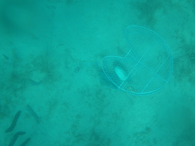 OLYMPUS DIGITAL CAMERA OLYMPUS DIGITAL CAMERA