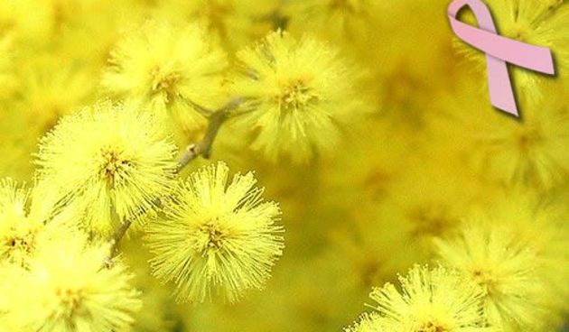 Mimoza, foto: www.sdp-vinkovci.org