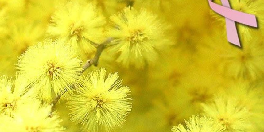 Mimoza, foto: www.sdp-vinkovci.org