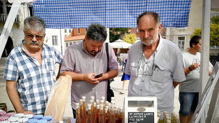 11. Festival smokava – Gastro smokva @ Muzej antičkog stakla 11. Festival smokava – Gastro smokva @ Muzej antičkog stakla