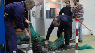 Večer u uljari, Foto: Leo Banić